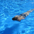 How Construction Projects Affect Your Pool in Orlando