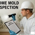What Construction Engineering Reveals About the Need for Mold Inspection in St. Petersburg Homes