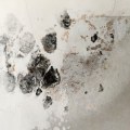 Building Strong Foundations: How Water Damage Restoration Supports Construction Engineering In Overland Park, KS