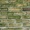 Water Damage Restoration in Alton: Why Construction Engineering Still Matters
