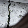 Preventing Structural Damage: Fixing Concrete Cracks In Pflugerville For Your Construction Engineering Project