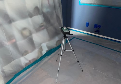 Preventing Mold Damage In Construction Engineering: Key Benefits Of Professional Mold Removal Services In Dallas, TX