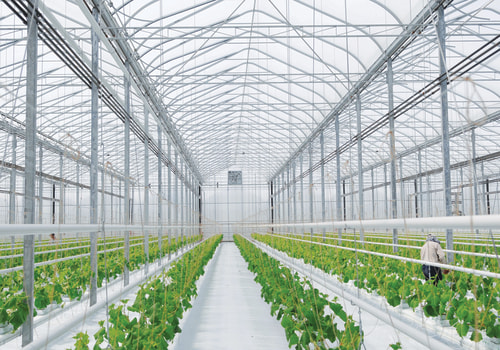 Commercial Greenhouse Construction In Ontario: Overcoming Challenges With Construction Engineering Expertise